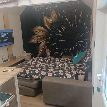Auxptitsbonheurs Bed & Breakfast *